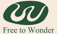 Free To Wonder
